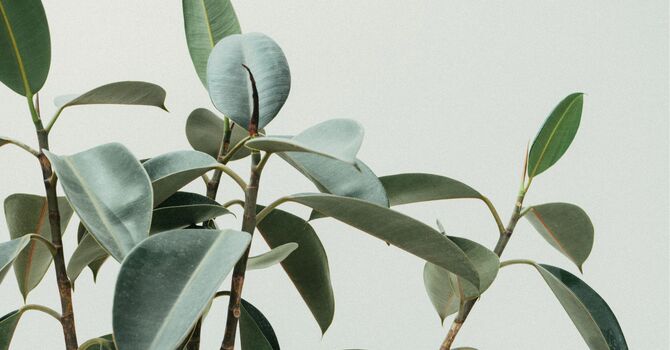 Relax and unwind with our Soft Opening