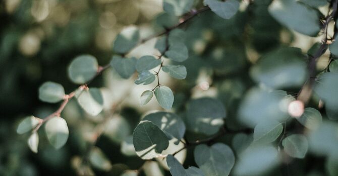 Relax and unwind with our Soft Opening